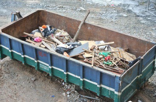 Overgrown London garden ready for clearance